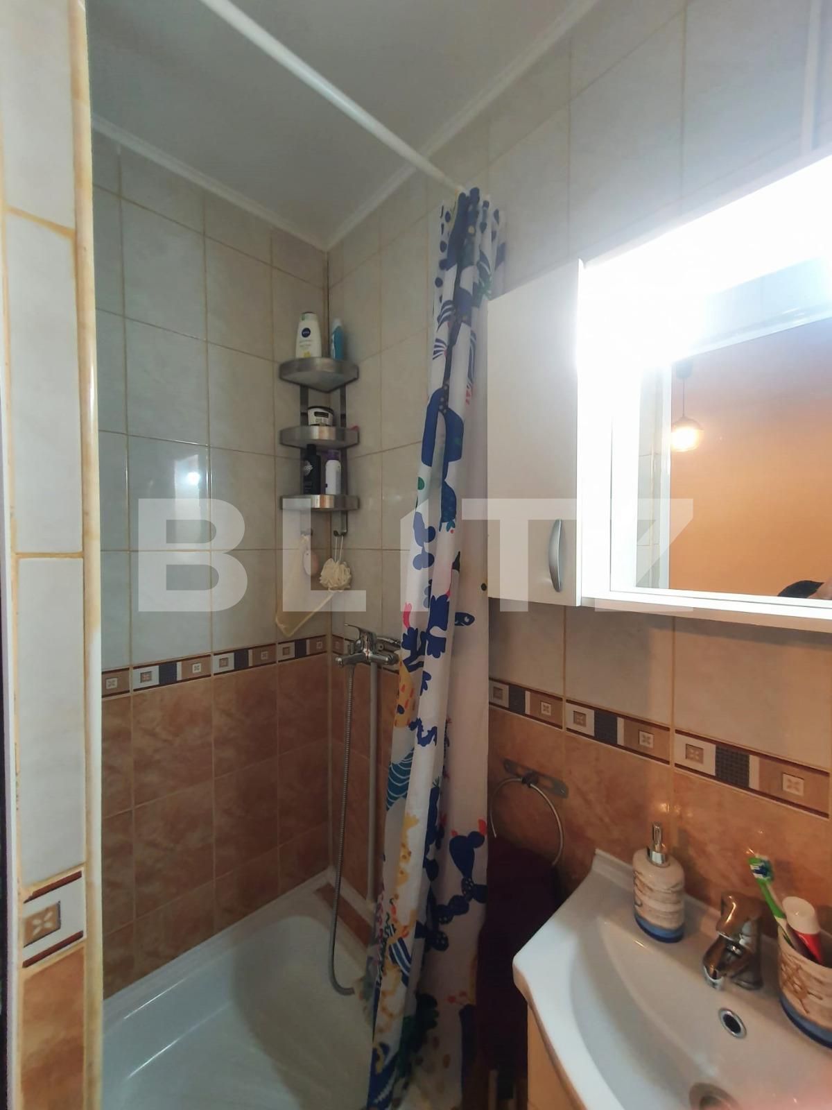 Apartament 4 camere, Vasile Lascar | Poza15