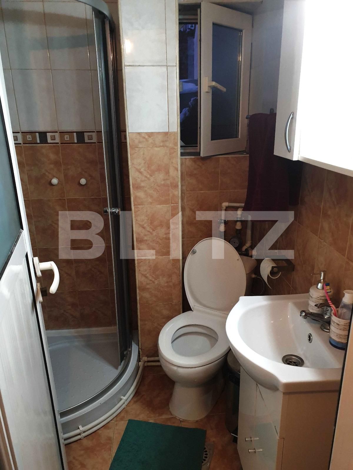 Apartament 4 camere, Vasile Lascar | Poza17