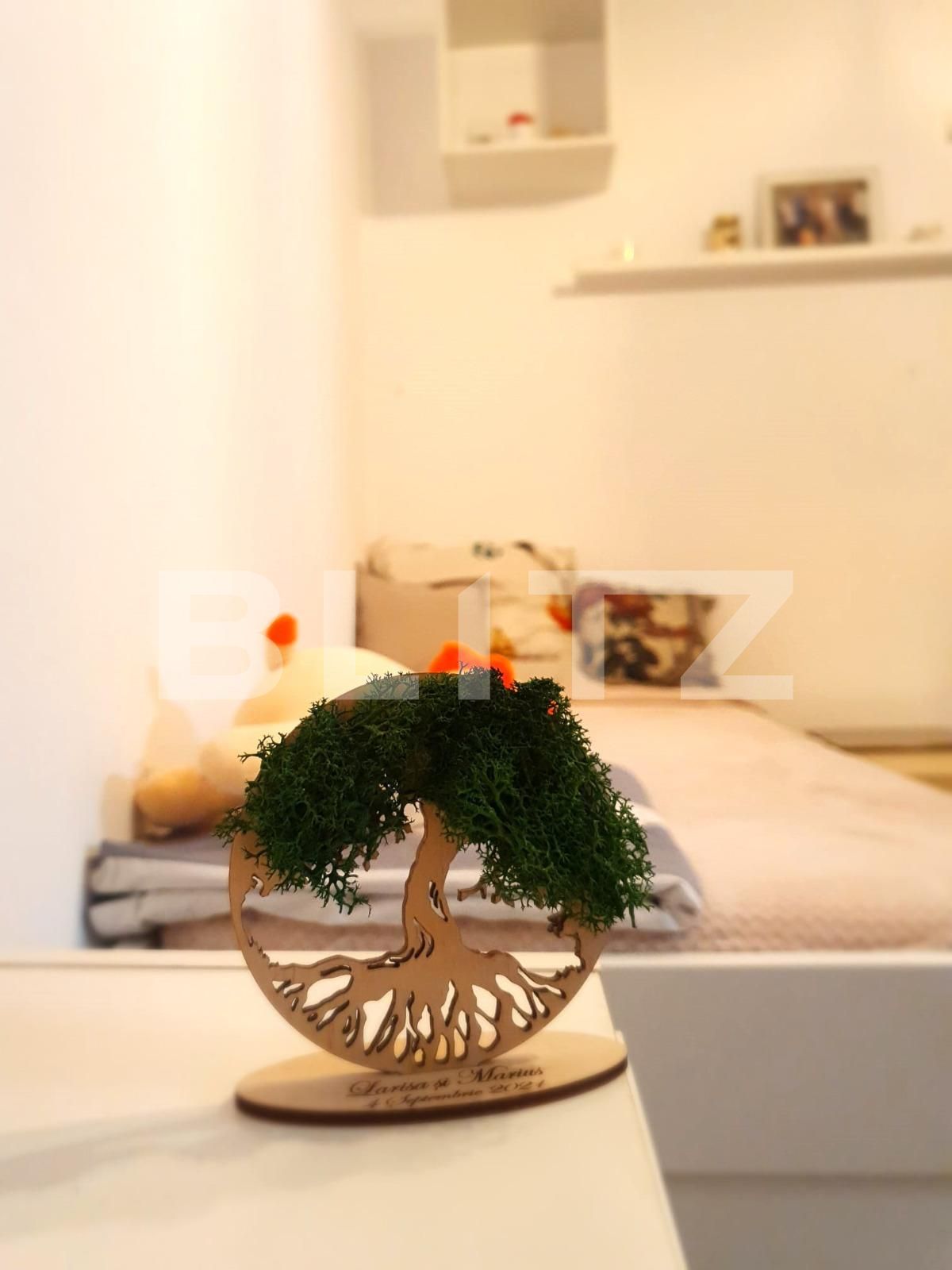 Apartament 4 camere, Vasile Lascar | Poza3