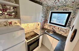 Apartament 3 camere, 60 mp, terasa, Ultracentral Hotel Radisson