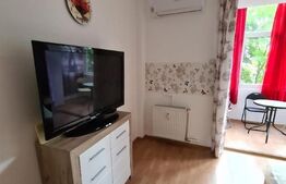 Garsoniera 30 metri patrati stradal Magheru Romana