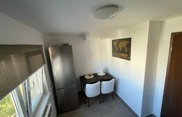 Studio de 36 mp, zona Decebal