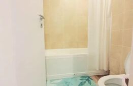 Garsoniera 30 mp, etaj intermediar, centrala proprie, Dristor