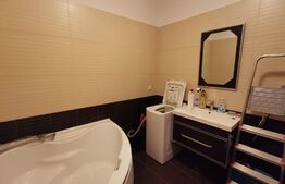 Apartament 2 camere, decomandat, curte proprie, parcare subterena, zona Jiului