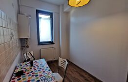Apartament 2 camere, decomandat, curte proprie, parcare subterena, zona Jiului