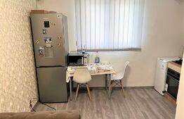 Garsoniera cocheta, parter, Pantelimon