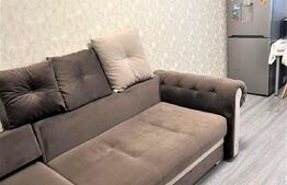 Garsoniera cocheta, parter, Pantelimon