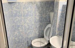 Garsoniera cocheta, parter, Pantelimon