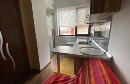 Garsonieră, 29 mp, centrală proprie, etaj intermediar, zona Băneasa