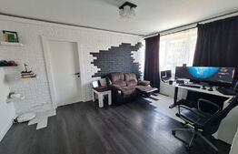 Apartament 2 camere, 50 mp, Bulevardul Cantemir