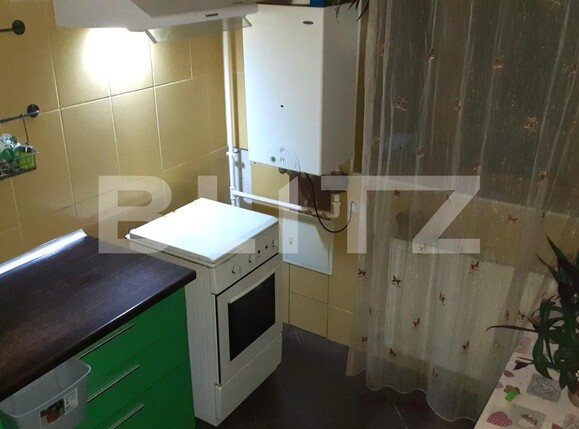 Garsoniera, Voluntari | Poza4