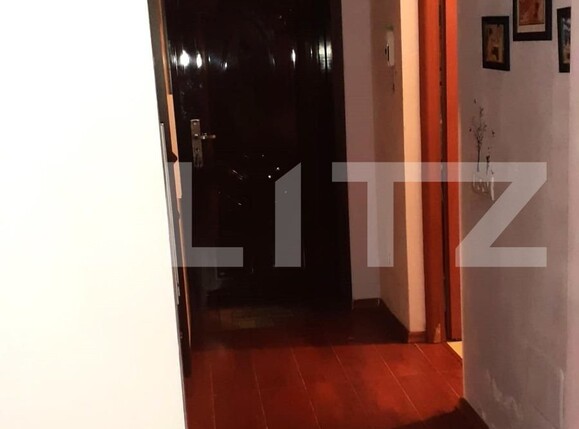 Garsoniera, Voluntari | Poza3