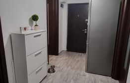 Apartament de 2 camere, 50mp, zona Trapezului 