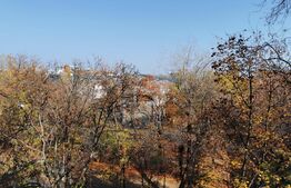 Oportunitate! Garsonieră decomandată, renovată complet, zona Pajura