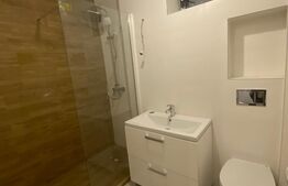 Apartament de 3 camere, curte, zona Bucurestii Noi