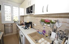 Apartament de 2 camere, 45mp, etaj intermediar, Baba Novac