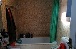 Casa Lehliu Gara, 3 constructii, total 178 mp, teren 1760mp