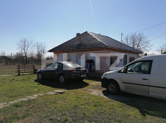 Casa de vânzare 5 camere Catelu - 102884CV | BLITZ București | Poza17