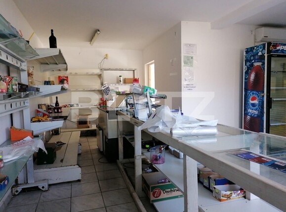 Casa de vânzare 5 camere Catelu - 102884CV | BLITZ București | Poza11