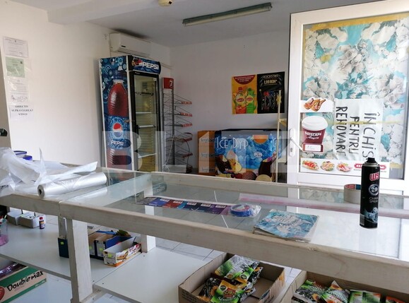 Casa de vânzare 5 camere Catelu - 102884CV | BLITZ București | Poza14