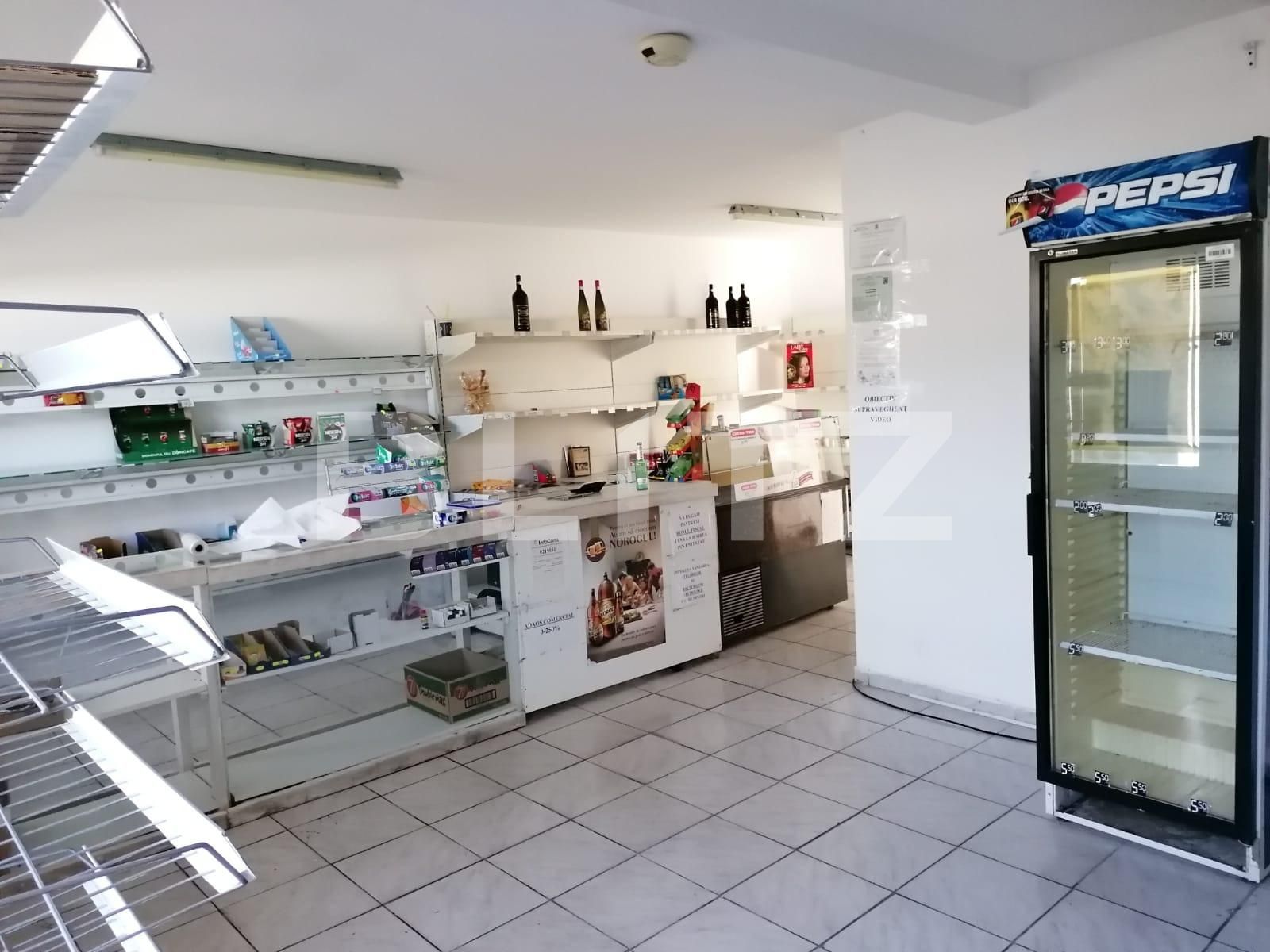 Casa de vânzare 5 camere Catelu - 102884CV | BLITZ București | Poza9