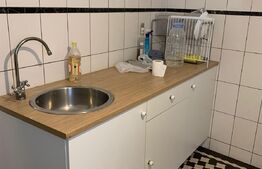 Superb! Apartament 3 camere 100 MP Terasa 40 MP Ultracentral