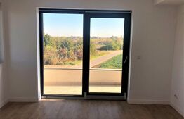 Case langa lac, 170mp utili, curte mare, Balotesti