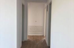 Case langa lac, 170mp utili, curte mare, Balotesti