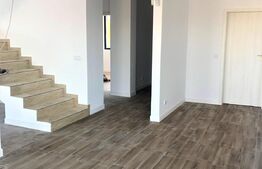 Case langa lac, 170mp utili, curte mare, Balotesti