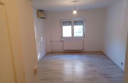 Garsoniera, parter, 22 mp, renovata, zona Titan-Trapezului