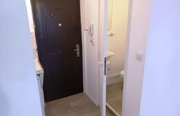 Garsoniera, parter, 22 mp, renovata, zona Titan-Trapezului