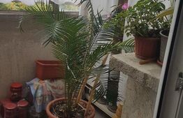 Apartament 4 camere 94 mp utili + 3 balcoane