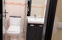 Apartament de 2 camere, 46mp, etaj intermediar, Dristor Park Lake