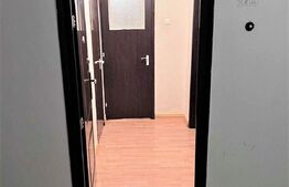 Apartament de 2 camere, 46mp, etaj intermediar, Dristor Park Lake