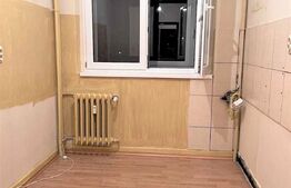 Apartament de 2 camere, 46mp, etaj intermediar, Dristor Park Lake