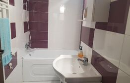 Apartament de 2 camere + Mansarda