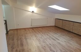 Apartament de 2 camere + Mansarda
