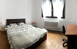 Ultracentral Vila Zona Cismigiu 2 apartamente Etaj si Mansarda