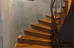 Ultracentral Vila Zona Cismigiu 2 apartamente Etaj si Mansarda