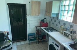 Ultracentral Vila Zona Cismigiu 2 apartamente Etaj si Mansarda