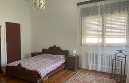 Ultracentral Vila Zona Cismigiu 2 apartamente Etaj si Mansarda