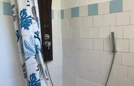 Ultracentral Vila Zona Cismigiu 2 apartamente Etaj si Mansarda