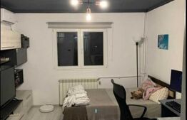 Garsoniera, 21 mp, renovata, mobilata, zona Titan-Trapezului