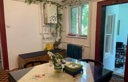 Ocazie Apartament si Mansarda in Vila Cismigiu 