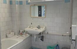 Ocazie Apartament si Mansarda in Vila Cismigiu 