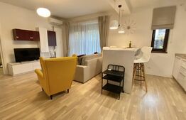 Apartament de 2 camere, 53 MP utili, curte de 60 mp, in zona Baneasa