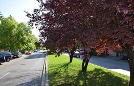 Apartament 4 camere, 100mp, pretabil pentru birouri,  zona Domenii