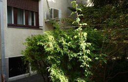 Apartament 4 camere, 100mp, pretabil pentru birouri,  zona Domenii