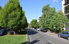 Apartament 4 camere, 100mp, pretabil pentru birouri,  zona Domenii