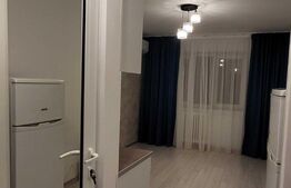 Garsoniera renovata, 20mp, zona Dristor